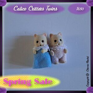 Cream Chantilly Cat Twins